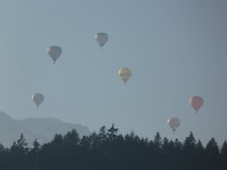 image31